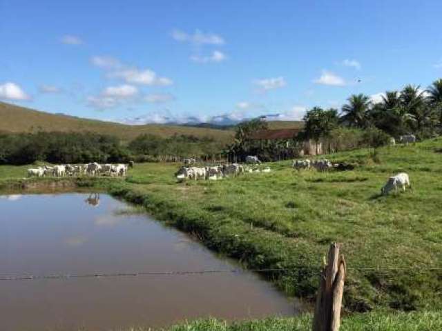 Fazenda CENTRO SILVA JARDIM RJ Brasil