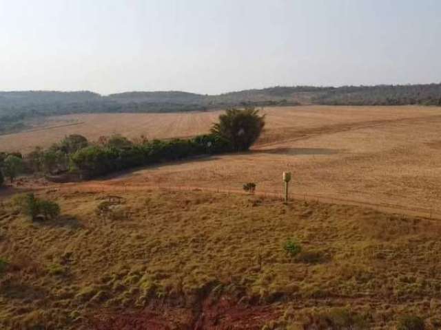 Fazenda JARDIM NOVA ESPERANCA GOIANIA GO Brasil