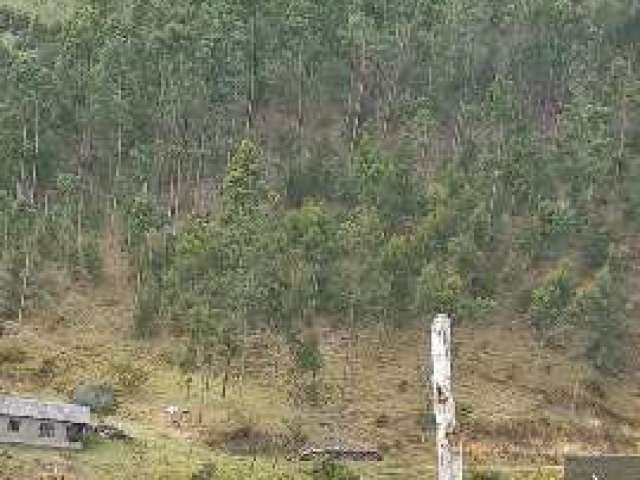 Fazenda BRACANA  RIO BONITO RJ Brasil