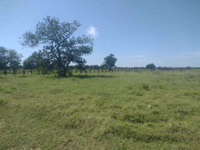 Fazenda JARDIM PETROPOLIS CUIABA MT Brasil