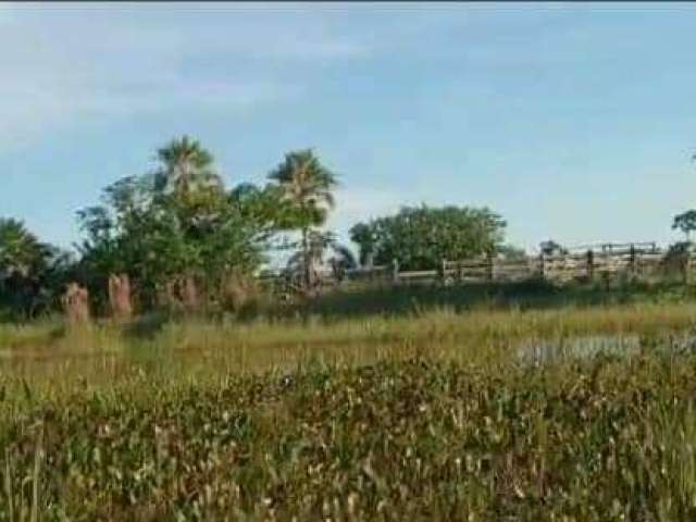 Fazenda CENTRO CORUMBA MS Brasil