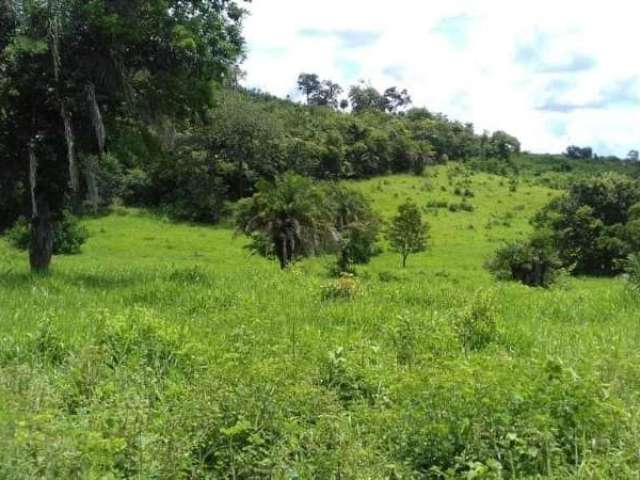 Fazenda CENTRO GOIAS GO Brasil