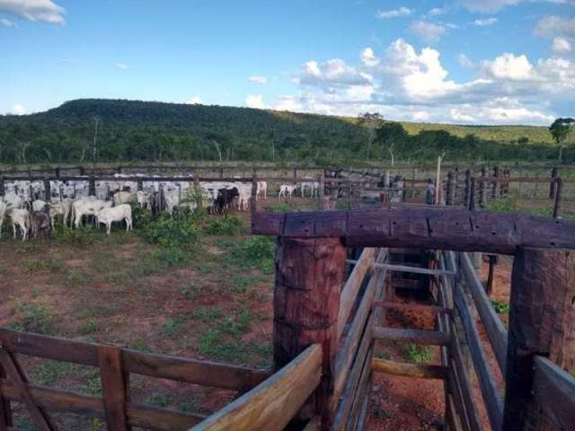 Fazenda CENTRO CORUMBA MS Brasil