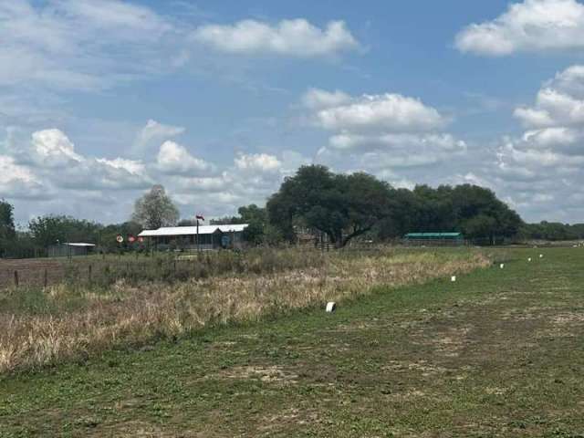 Fazenda CENTRO CORUMBA MS Brasil