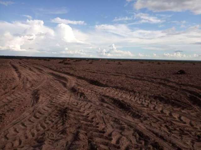 Fazenda CENTRO LORETO MA Brasil