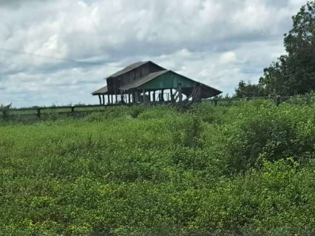 Fazenda SETOR CENTRAL DUERE TO Brasil