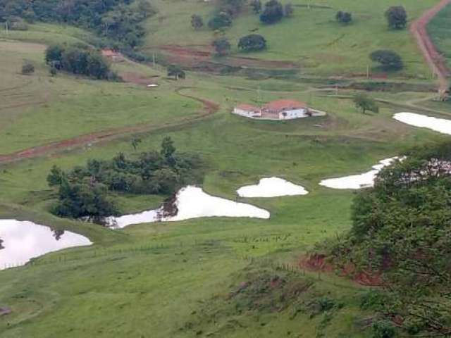 Fazenda CENTRO BOTUCATU SP Brasil