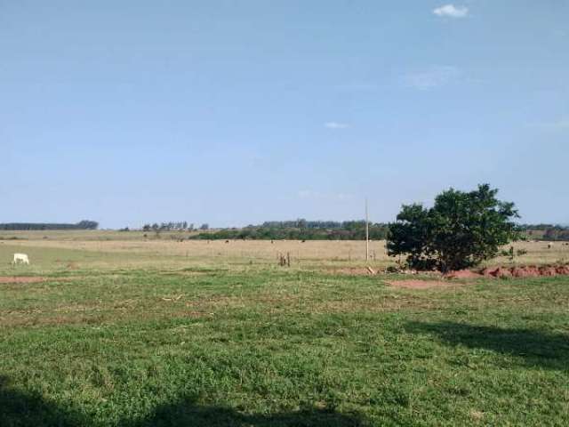 Fazenda CENTRO NAVIRAI MS Brasil