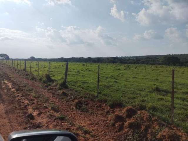 Fazenda CENTRO CHAPADA DOS GUIMARAES MT Brasil