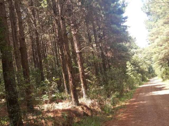 Fazenda CENTRO RIO GRANDE RS Brasil