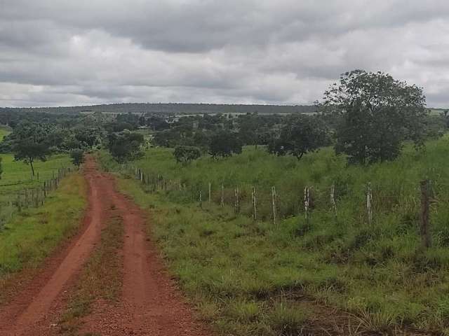 Fazenda CENTRO FEIRA NOVA DO MARANHAO MA Brasil