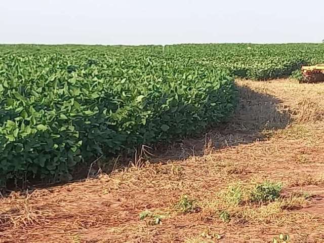 Fazenda CORONEL ANTONINO CAMPO GRANDE MS Brasil