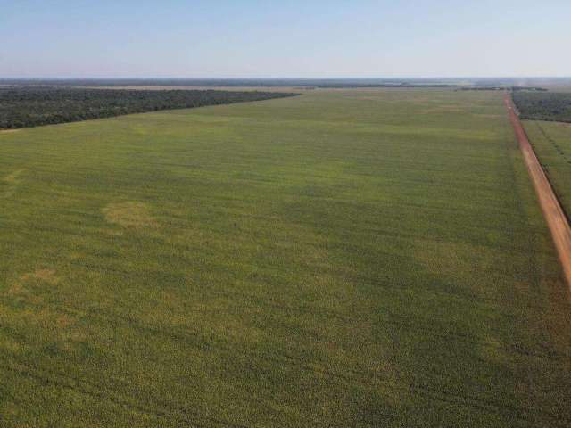 Fazenda SETOR CENTRAL PIUM TO Brasil