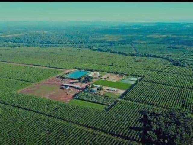 Fazenda CAMPINA BELEM PA Brasil