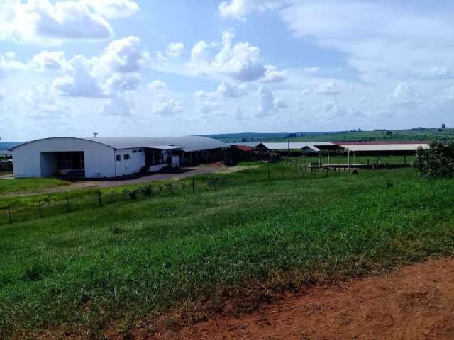 Fazenda CENTRO AGUDOS SP Brasil