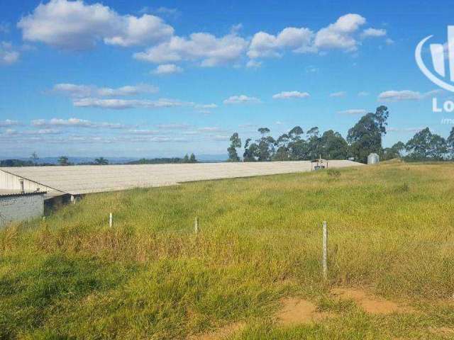 Sítio à venda, 60000 m² - Bairro dos Rosas - Amparo/SP