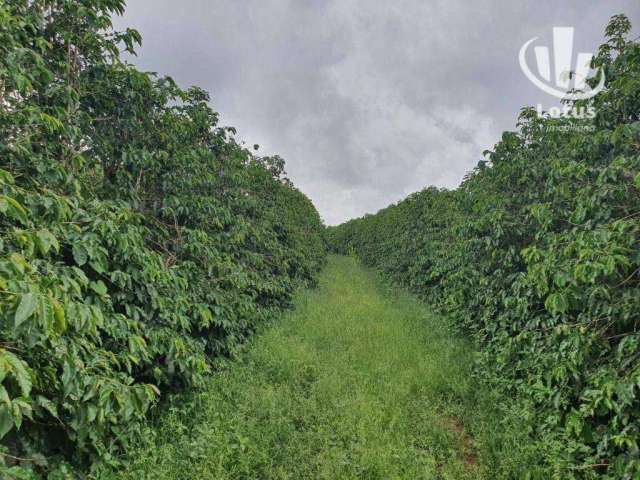 Fazenda à venda, 1260000 m² - Zona Rural - São Gonçalo do Sapucaí/MG