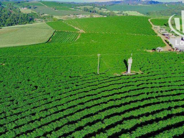 Fazenda à venda, 968000 m² por R$ 15.000.000,00 - Zona  Rural - Machado/MG