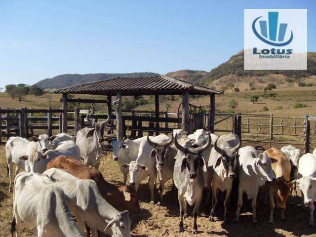 Fazenda à venda, em Cajuru a 70 KM de Ribeirão Preto, 120 Alqueires Paulista.