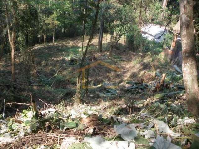 Terreno à venda na Avenida Nova Cantareira, --, Tucuruvi, São Paulo por R$ 2.090.000