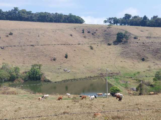 Chácara / sítio à venda no Centro, Divinolândia , 30000 m2 por R$ 1.150.000