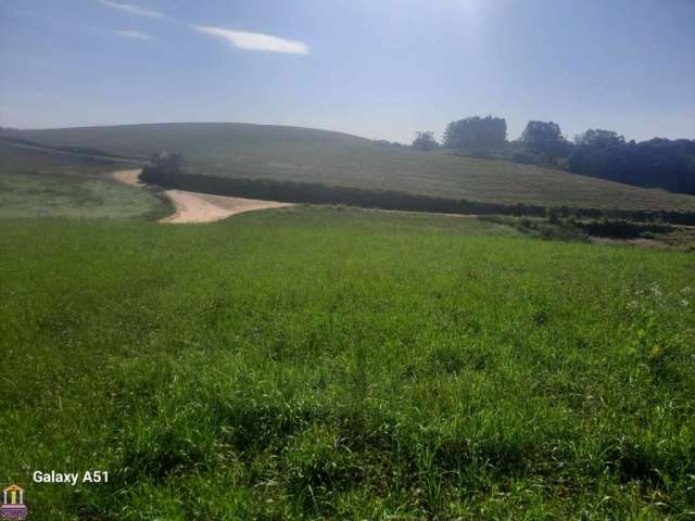 Excelente área de 78.727,62m² (3,26 alqueires ou 7.88 hectares) em Excelente localização a exatos 10 km do Centro de Araucária, a apenas 800m do asfalto - APENAS R$ 1.499.000,00