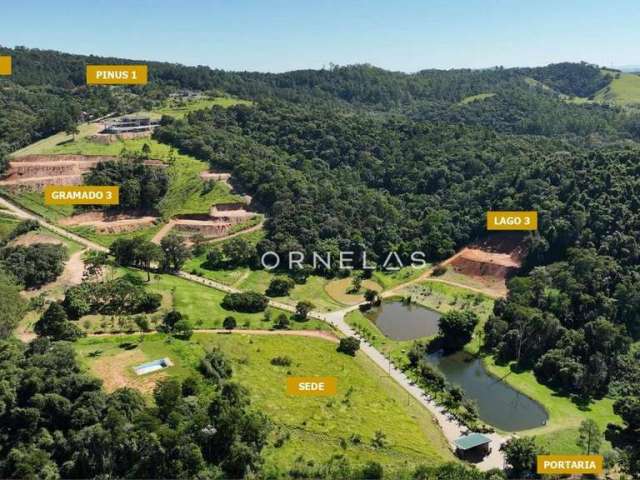 Terreno à venda, 20000 m² por R$ 930.000,00 - Pinheirinho - Atibaia/SP