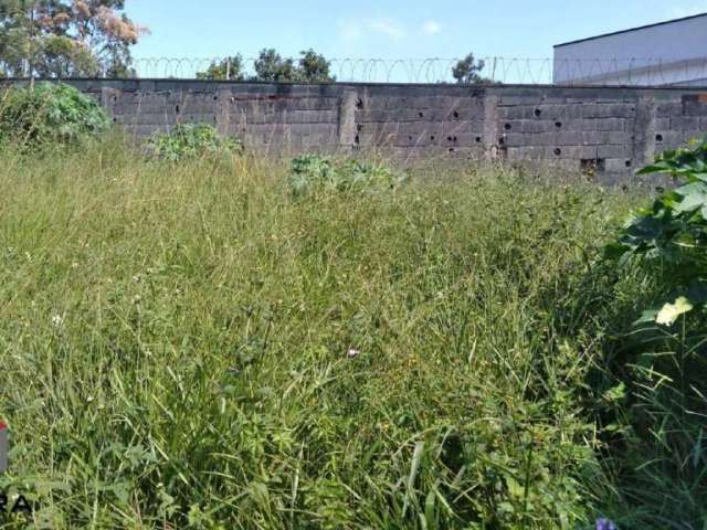 Terreno à venda Alvarenga - São Bernardo do Campo - SP