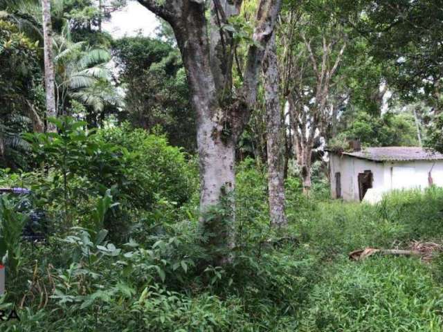 Terreno à venda Dos Finco - São Bernardo do Campo - SP