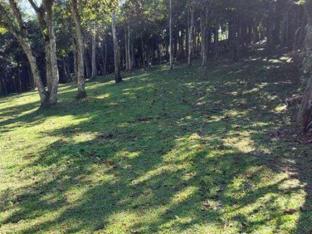 Terreno à venda Dos Finco - São Bernardo do Campo - SP