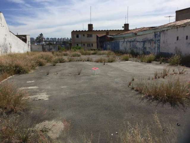 Terreno para aluguel Paulicéia - São Bernardo do Campo - SP