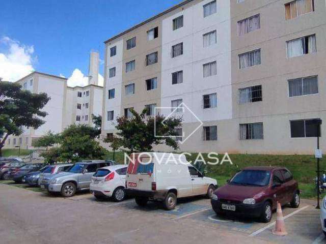 Apartamento com 2 dormitórios à venda, 49 m² por R$ 250.000,00 - Santa Amélia - Belo Horizonte/MG