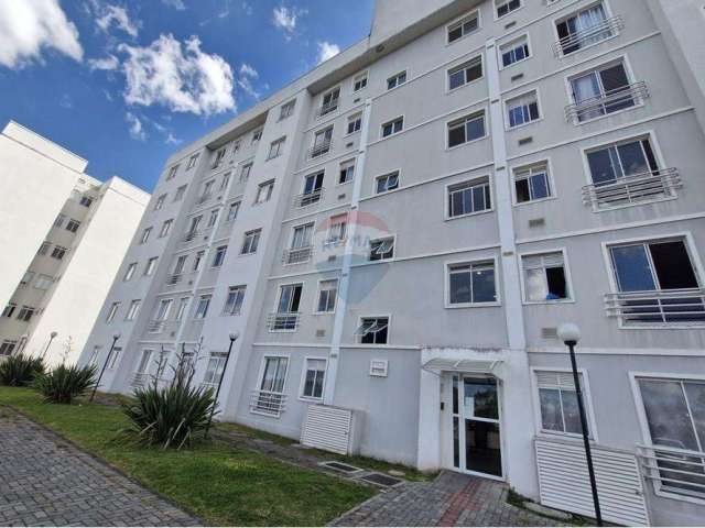 Apartamento com 3 Quartos à venda, 56m² - no Afonso Pena com elevador.