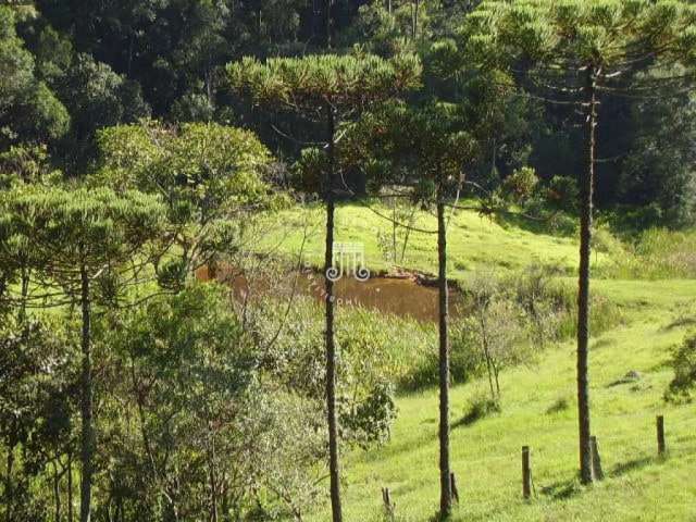 Sítio à venda na serra do japi - santa clara - jundaí/sp