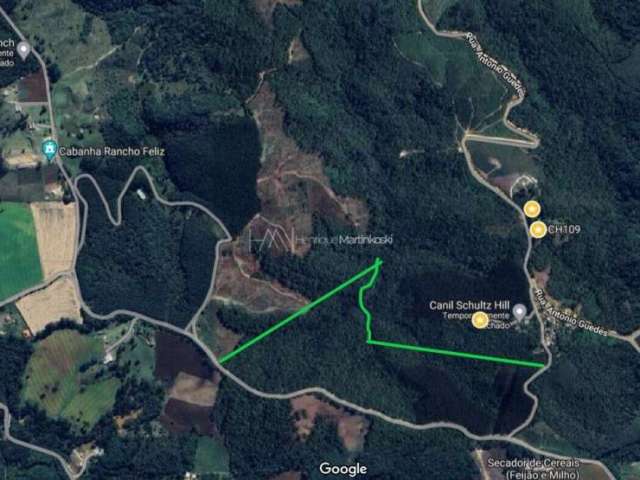 Chácara de 128.000m2 próximo de Curitiba e Almirante Tamandaré-PR