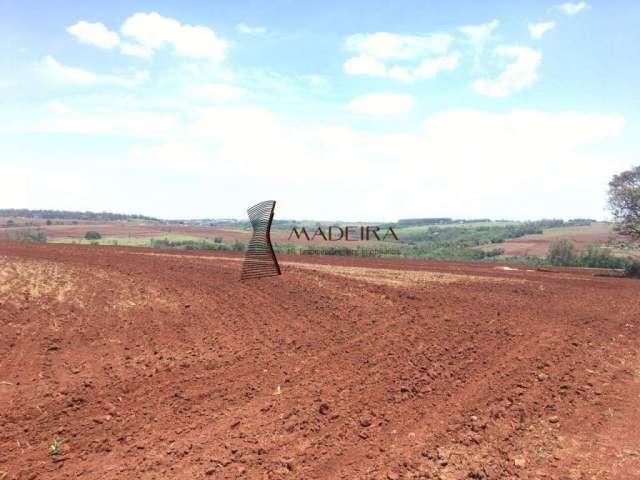 Sítio à venda, Gleba Ribeirão Centenário - Maringá/PR