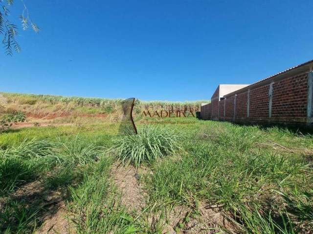 Terreno à venda, Jardim Catuai - Mandaguaçu/PR