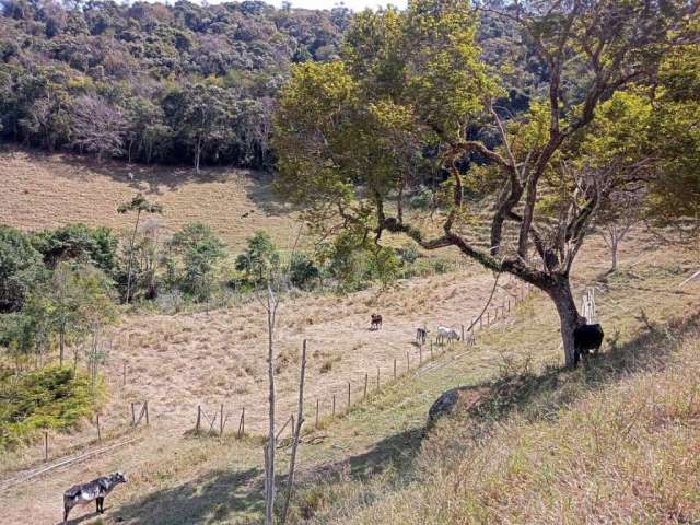 Chácara / sítio com 2 quartos à venda no Centro, Paraibuna  por R$ 500.000