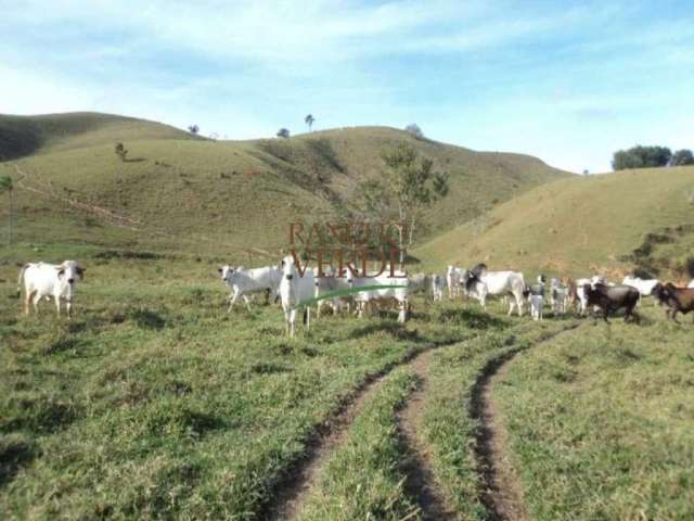 Chácara / sítio com 2 quartos à venda no Centro, Paraibuna  por R$ 2.200.000