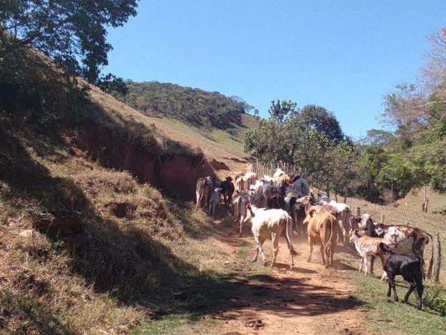 Fazenda com 2 salas à venda no Centro, Cunha  por R$ 5.180.000