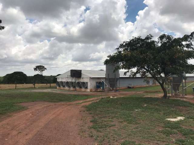 Fazenda à venda no Centro, Monte Alegre de Minas  por R$ 9.500.000