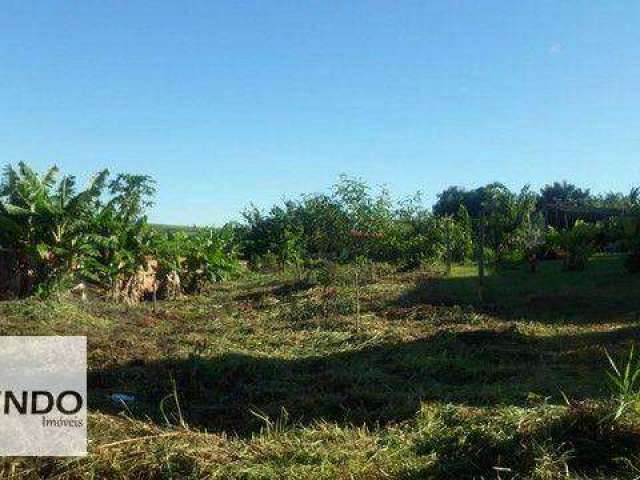 Terreno à venda, 1000 m² por R$ 298.000,00 - Buru - Elias Fausto/SP