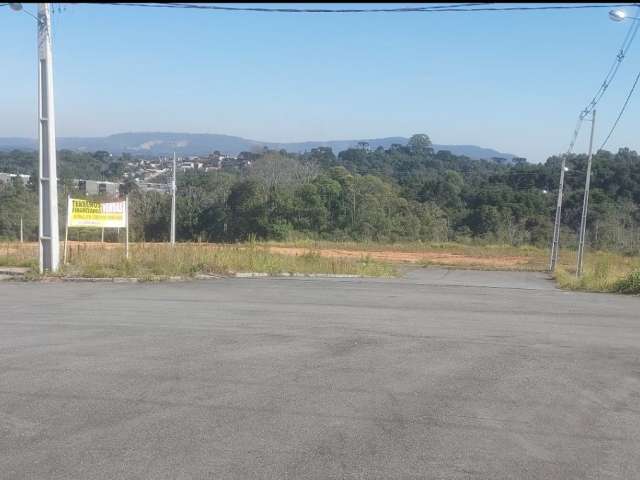 Lançamento terrenos em campo largo bairro bom jesus  r$1.285,00 mensais.