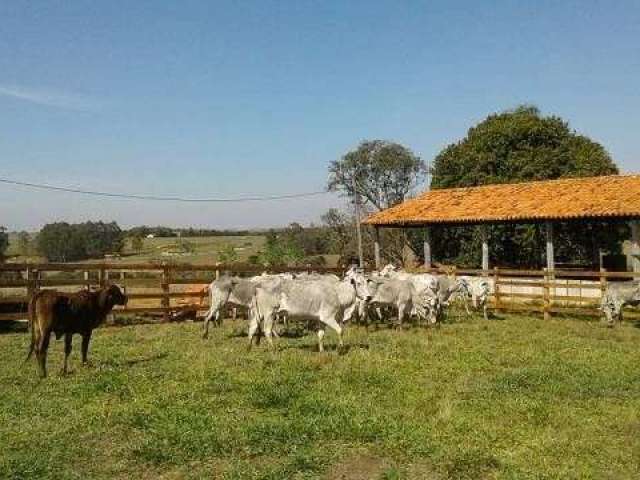 Fazenda/Sítio/Chácara para venda tem 400000 metros quadrados em Centro - Itapetininga - SP