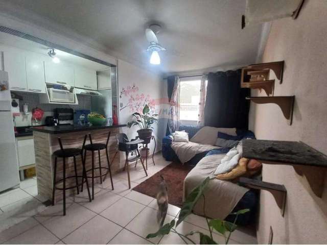 Excelente apartamento Parque São Vicente