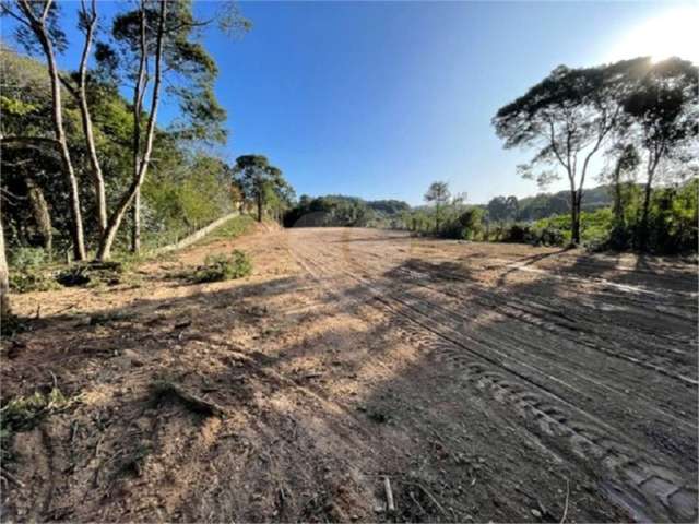 Terreno comercial à venda na Rua Vereador Admar Bertolli, KM 7372, Jardim Marambaia, Almirante Tamandaré, 4126 m2 por R$ 1.690.000