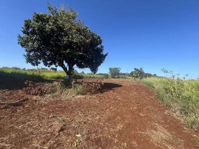 Terreno para Venda em Maringá, Gleba Ribeirão MARINGA