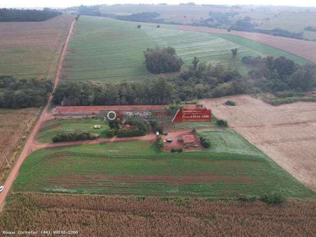 Sítio / Chácara para Venda em Munhoz de Melo, ZONA RURAL