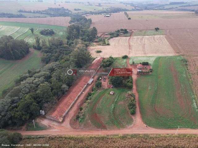 Sítio / Chácara para Venda em Munhoz de Melo, ZONA RURAL