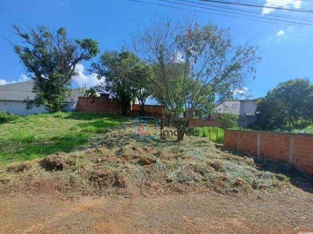 Terreno à venda, 455 m² por R$ 420.000,00 - Jardim São Domingos - Americana/SP